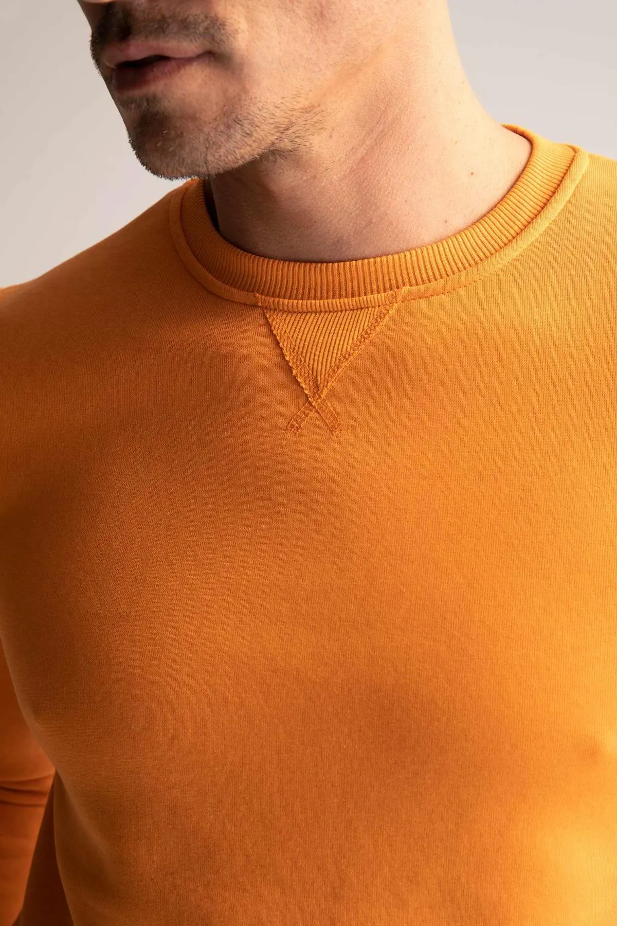 DeFacto  Basic-Sweatshirt aus Baumwolle mit normaler Passform und Rundhalsausschnitt