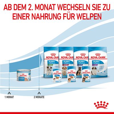 Royal Canin Starter Mother & Babydog Ultra Soft Mousse