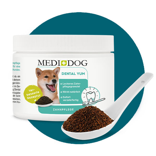 MediDog Zahnpflege MediDog Dental Yum