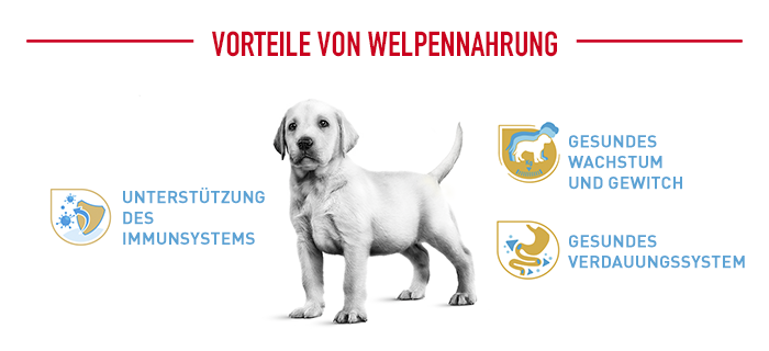 ROYAL CANIN Hundetrockenfutter ROYAL CANIN Labrador Retriever Puppy 3 kg