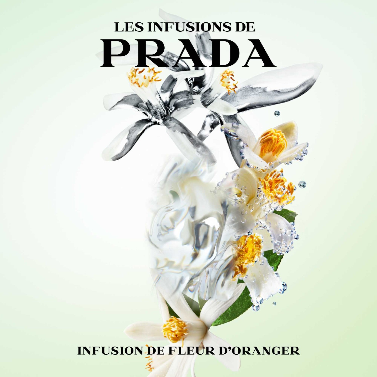 Prada Narancsvirág Infúzió
