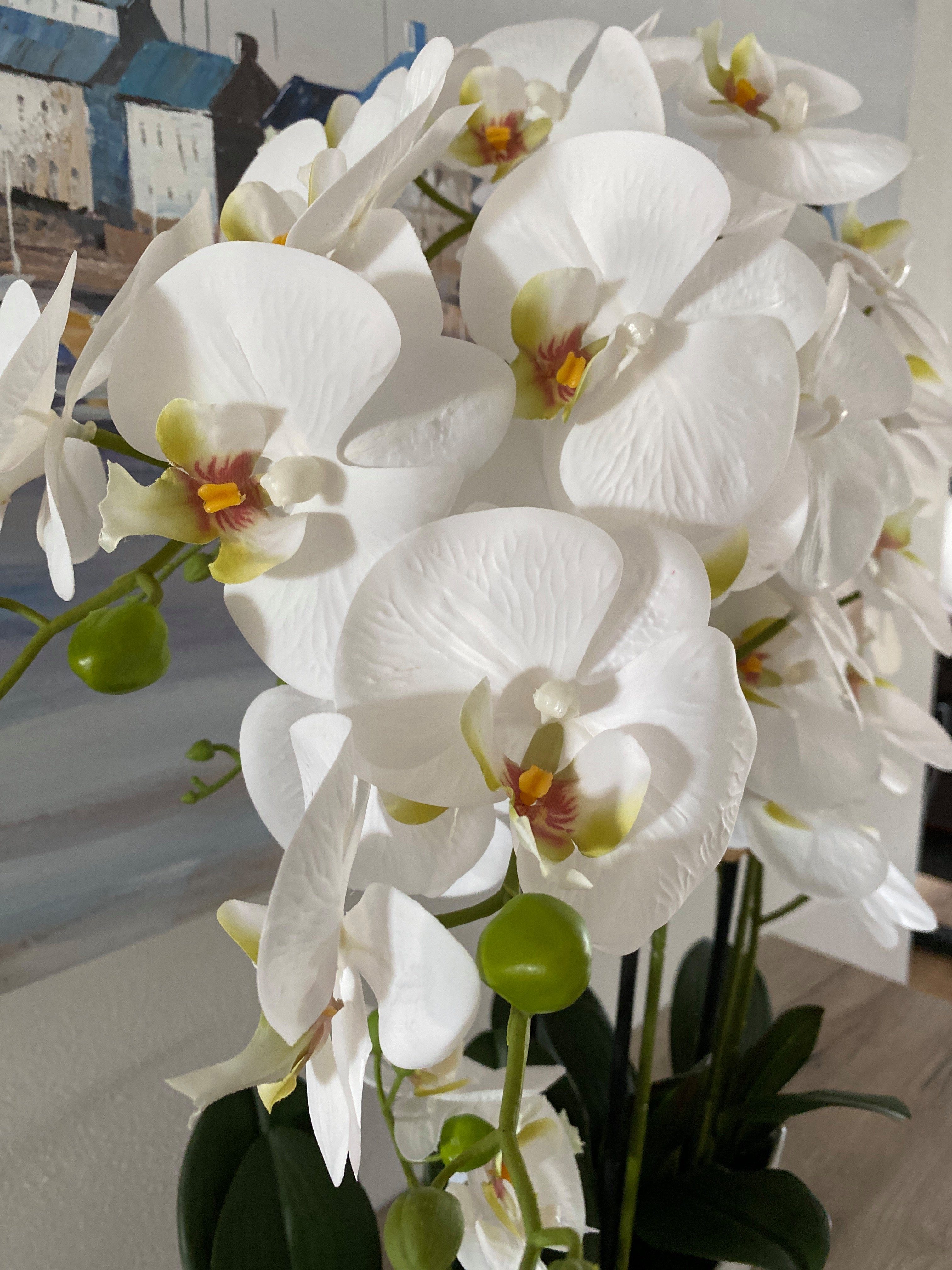 Kunstblume Orchidee Arrangement in weißem Keramiktopf, 70 cm, Dahlia Studios