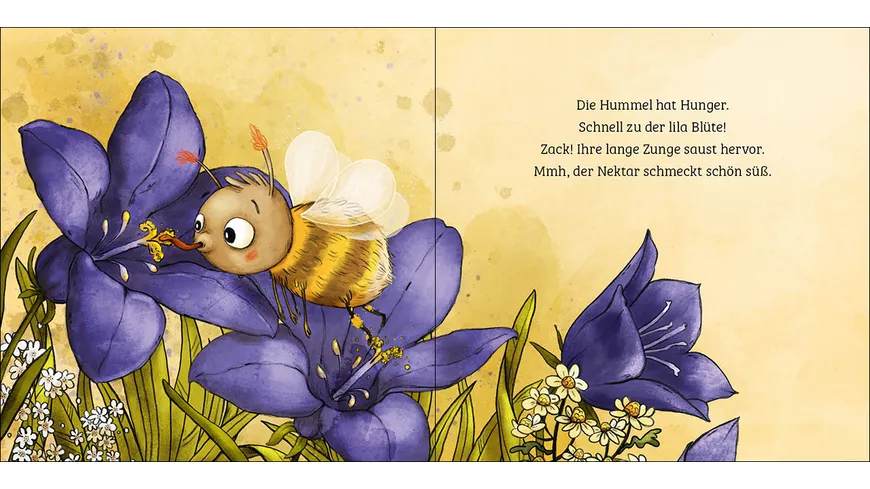 Mein erstes Naturbuch - Die Hummel
