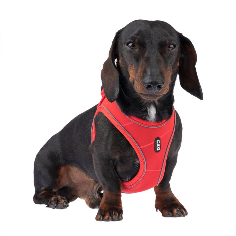 TIAKI Geschirr Wave Vest, rot zu TOP-Preisen