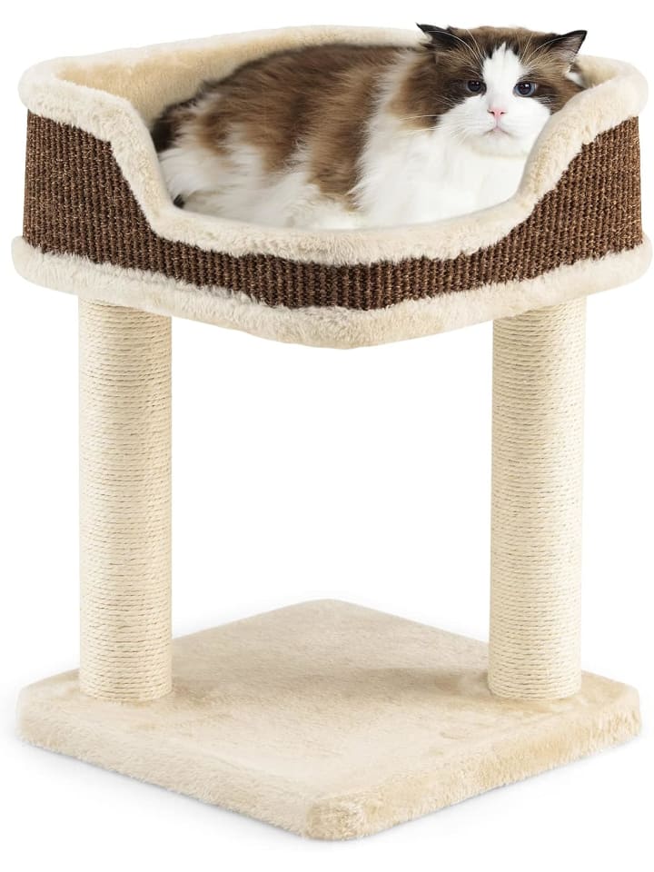 COSTWAY Katzenbaum 50cm in Beige günstig kaufen 50 cm