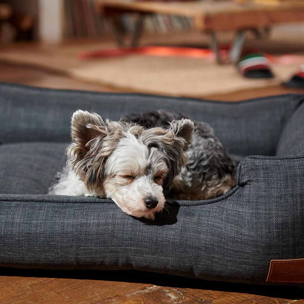 furrysoul Hundebett Tilda anthrazit günstig kaufen bei ZooRoyal