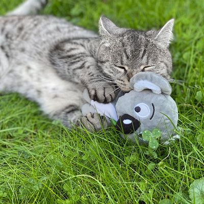 Aumüller Baldrian-Katzenspielkissen Koala Jack