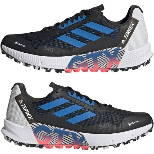 HERREN TRAILRUNNINGSCHUHE TERREX AGRAVIC FLOW 2 GTX