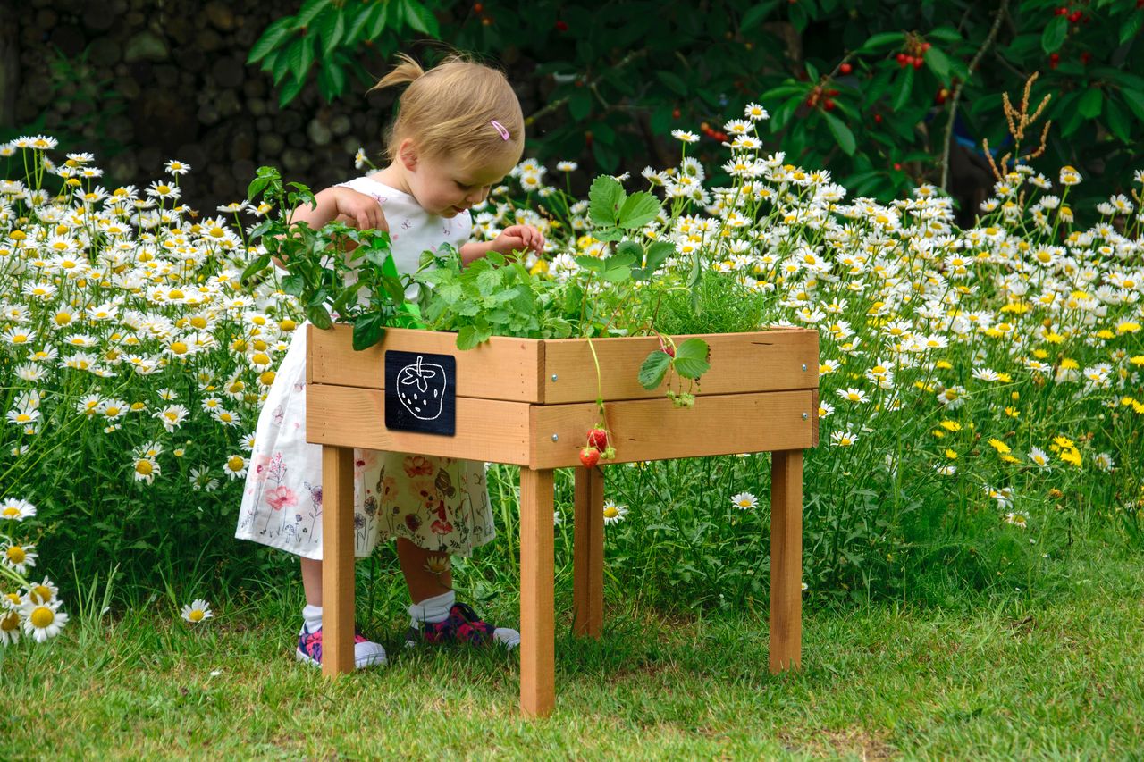 dobar Kleines Kinderhochbeet mit Kreidetafel braun