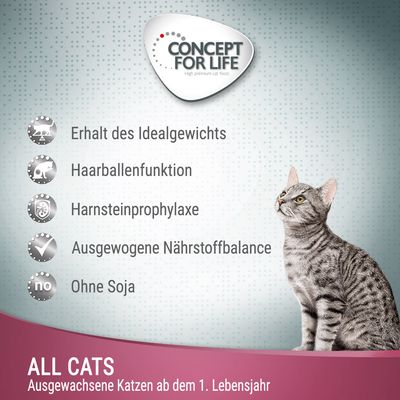 Concept for Life All Cats - in Soße