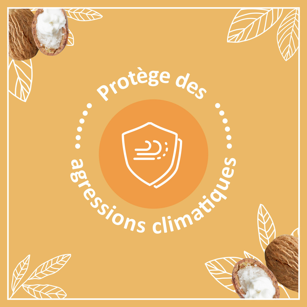le petit marseillais Soins des Lèvres Stick Lèvres NutritionLèvres Desséchées x 2 Stick lèvres