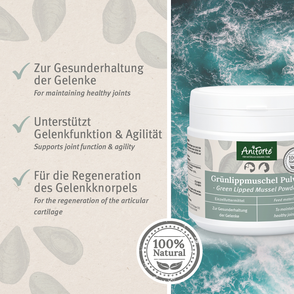 Aniforte Ergänzungsfutter & Aufzucht Aniforte Grünlippmuschelpulver Vollfettqualität 250 g