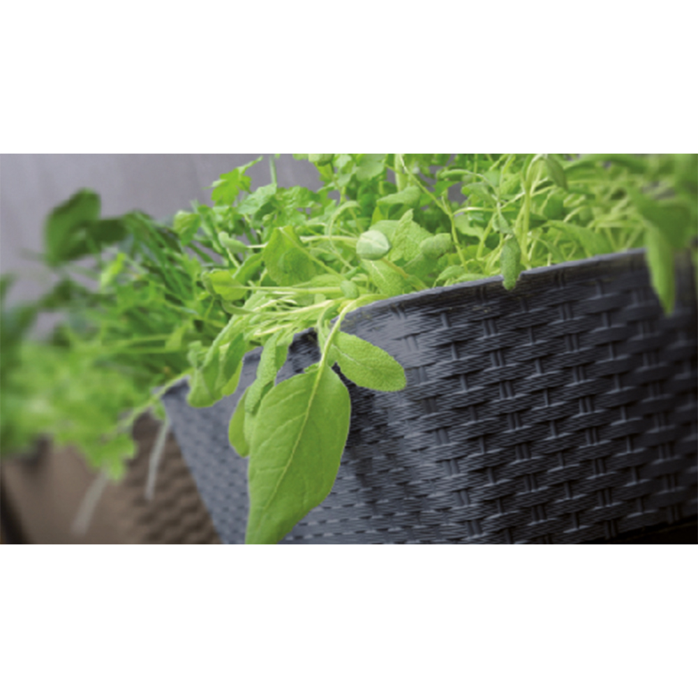 Protanic Pflanzkasten-Komplettset - Dunkelbraun
