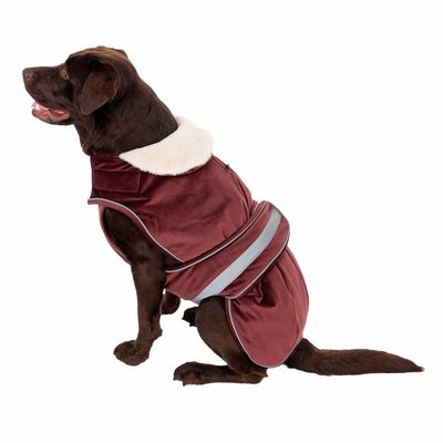 TIAKI Hundemantel Ellmo