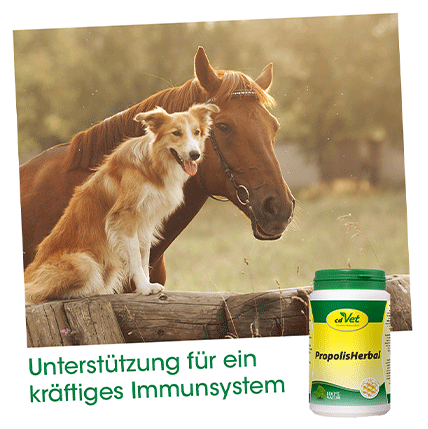 cdVet Ergänzungsfutter & Aufzucht cdVet PropolisHerbal 20g 190 g
