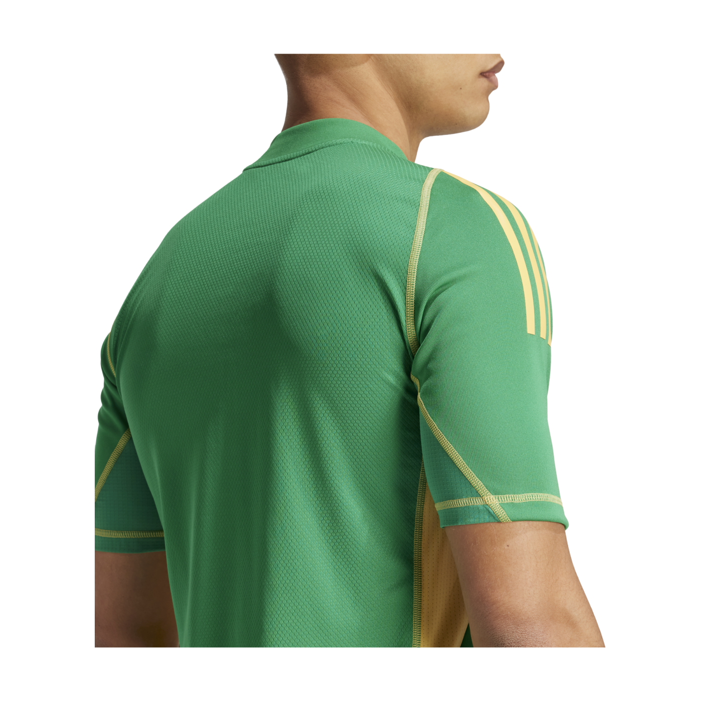 adidas Tiro 24 Pro Torwarttrikot Grün