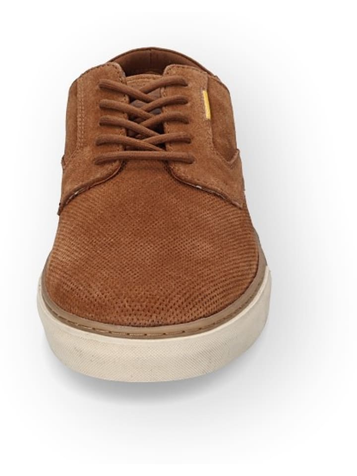 Camel Active Sneakers 