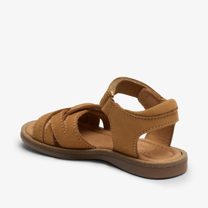becca o cognac - Braun