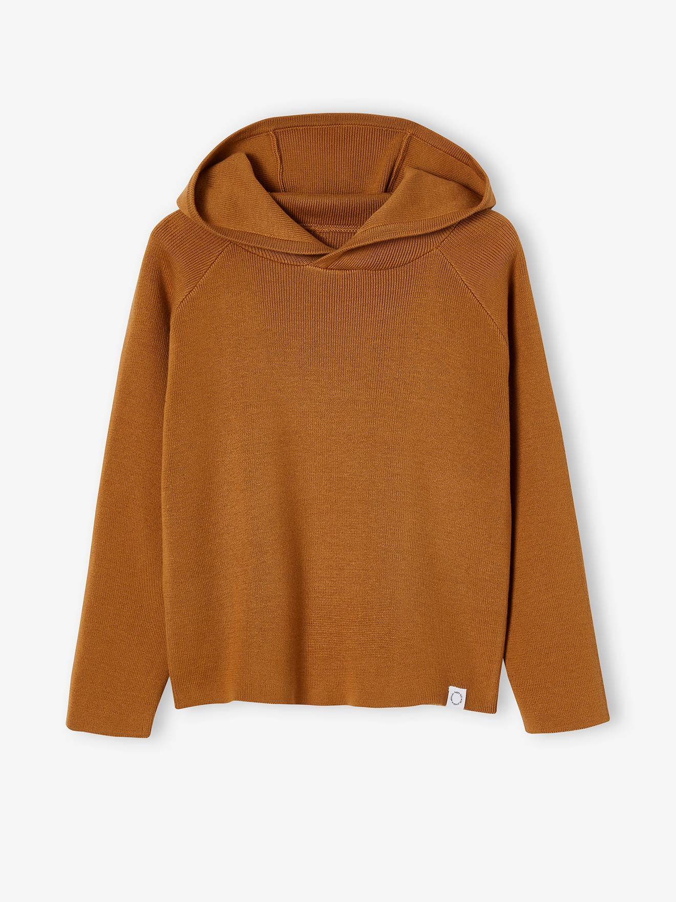Pull à capuche garçon bleu