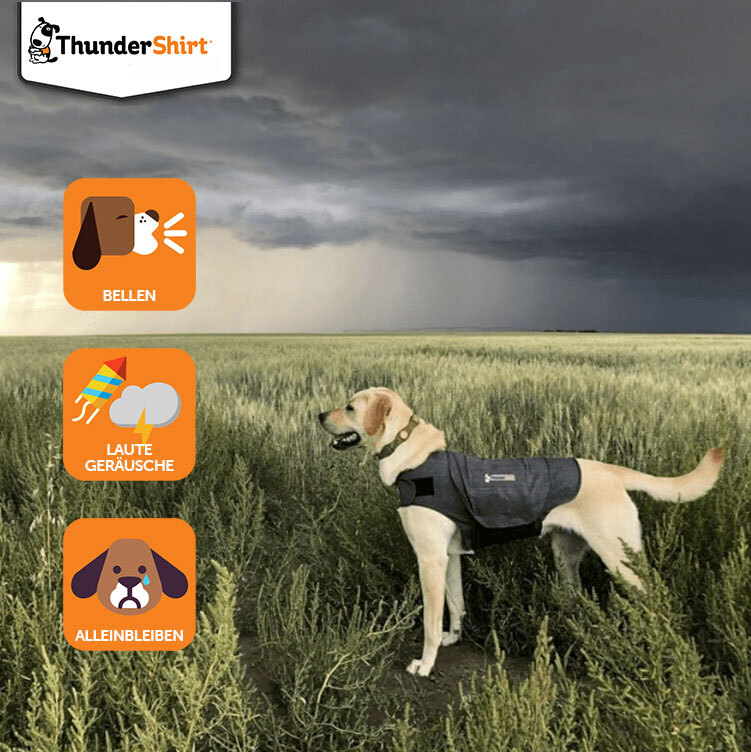 Thundershirt Hundewesten Thundershirt Beruhigungsweste grau S