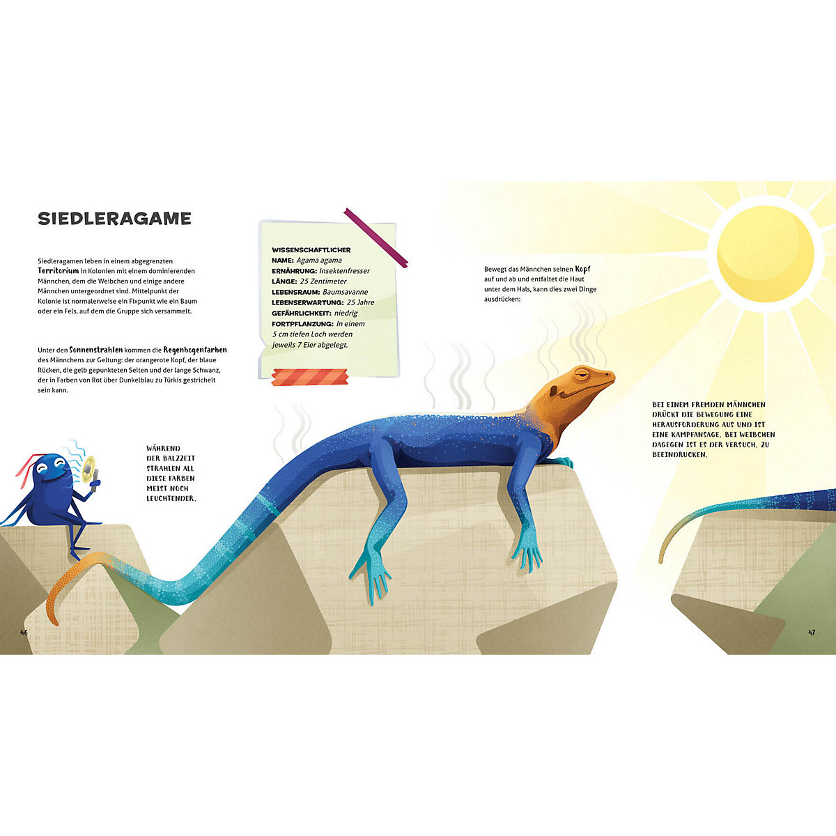Besonders und wunderbar: Reptilien