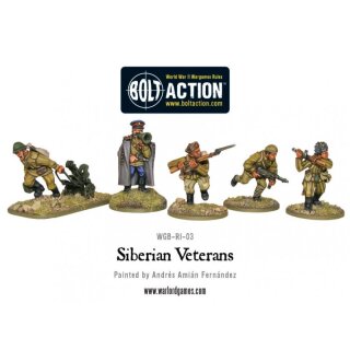 Siberian Veterans boxed set (34)