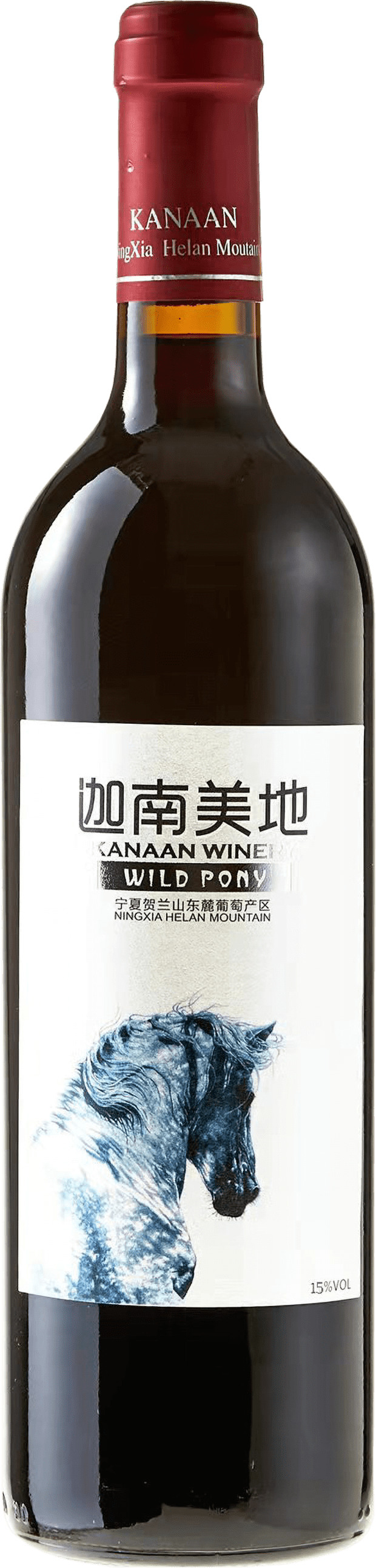 Wild Pony 2019