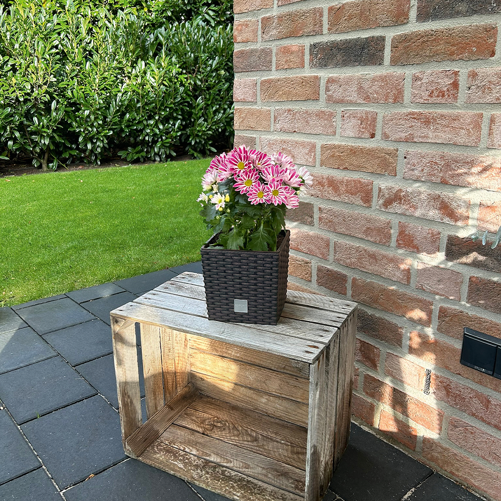 Protanic Powertec Garden Blumentopf 