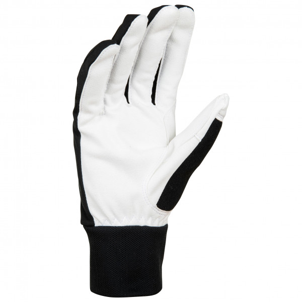 Daehlie - Glove Race Warm - Handschuhe