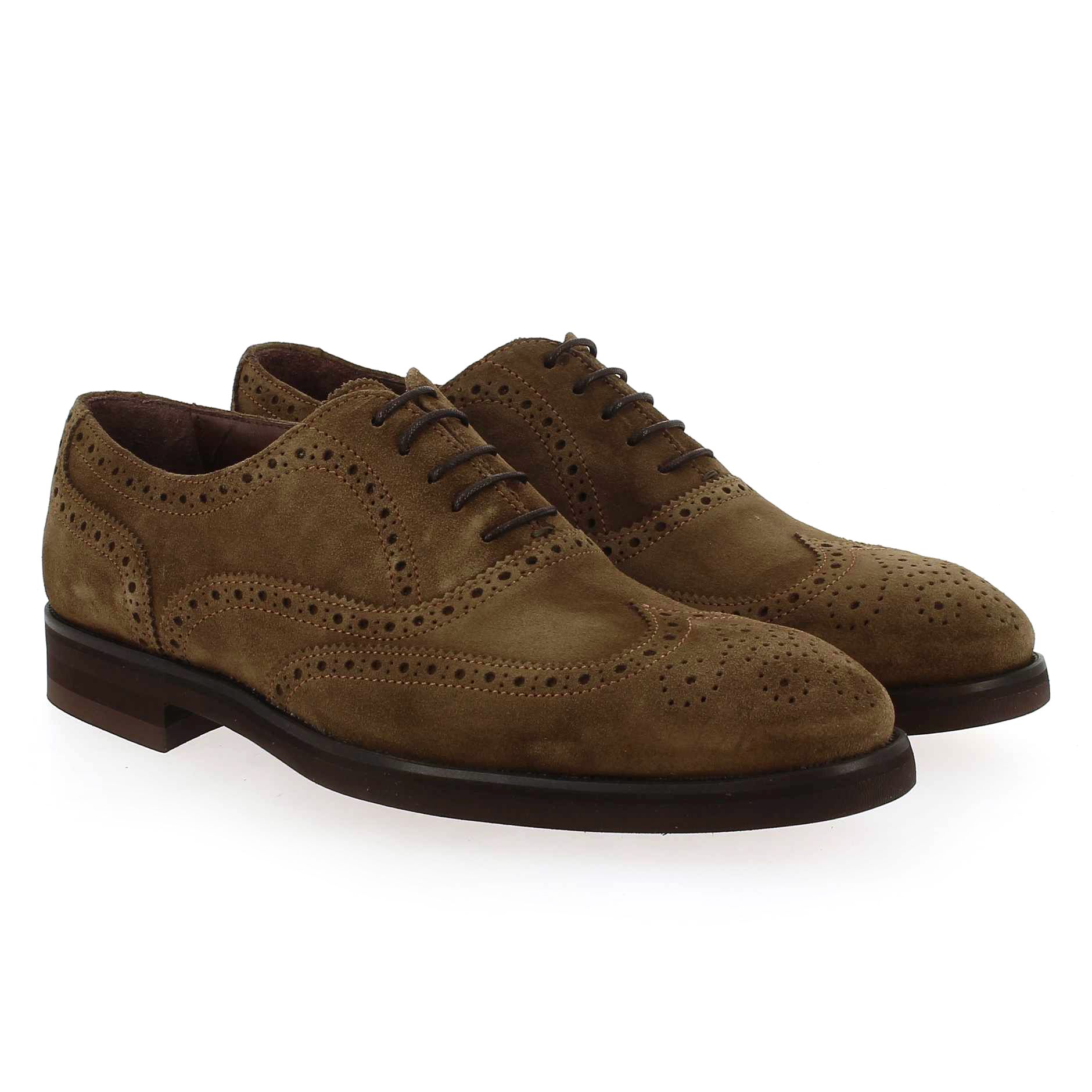 Paco Milan  3491 177 - marron
