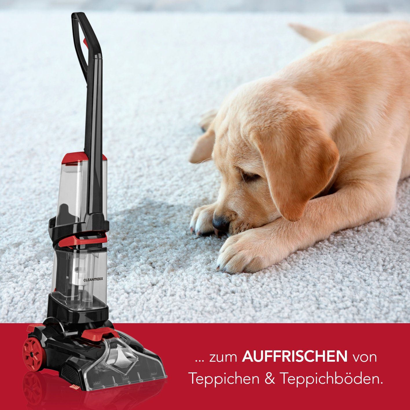CLEANmaxx Teppichreinigungsgerät Professional mit Vibrations- und Seitenbürsten - schwarz/rot, Waschsauger, Teppichreiniger, Shampoonierer, Teppich
