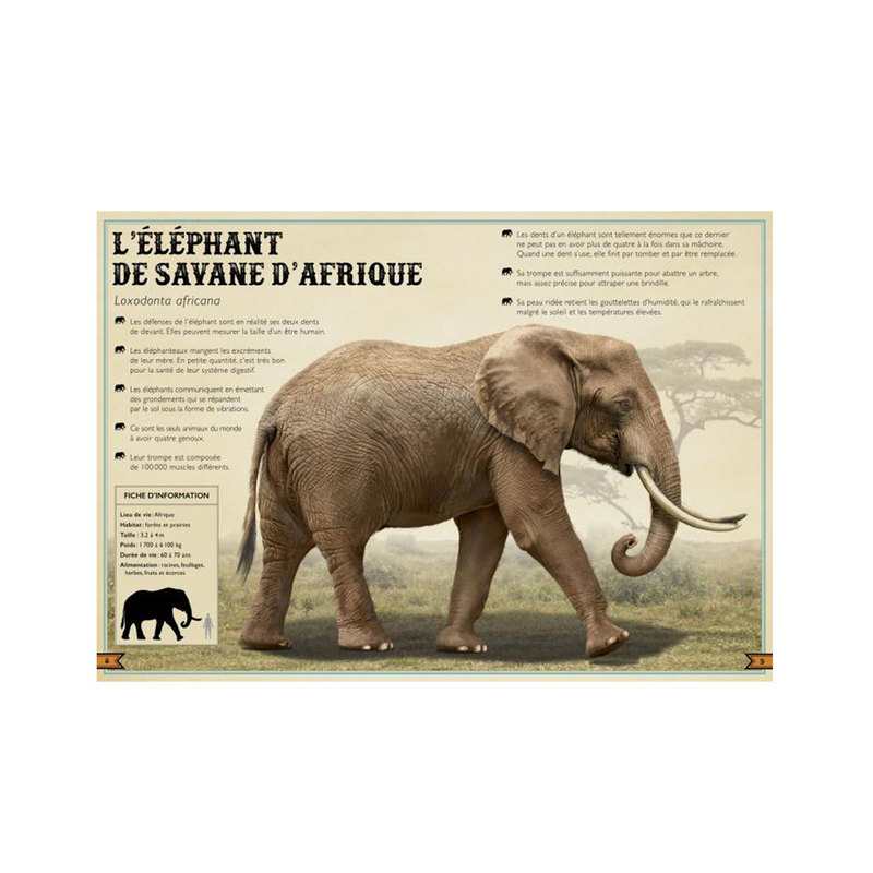 Livre Le livre extraordinaire des animaux - Little Urban