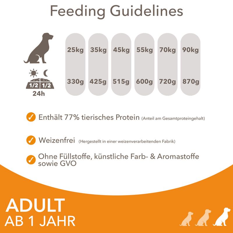 IAMS Advanced Nutrition Adult Large Dog mit Huhn