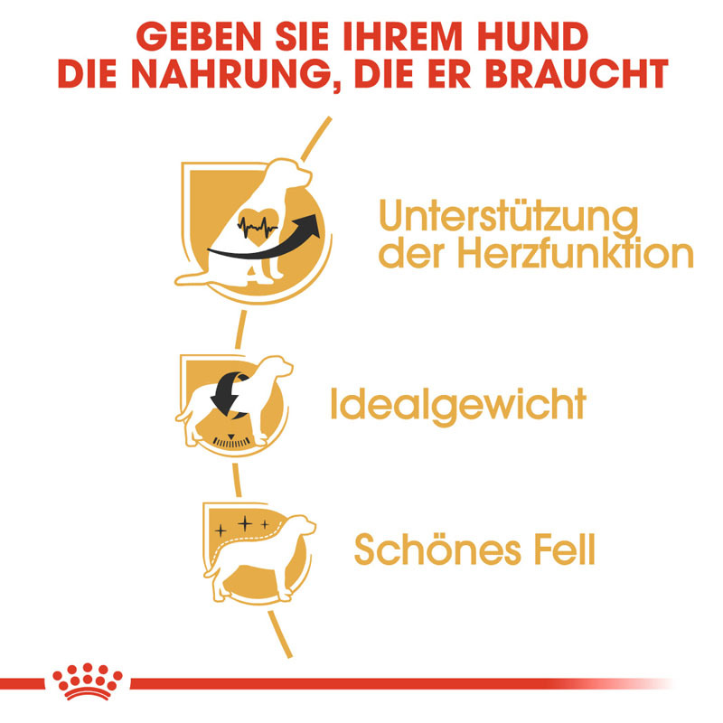 ROYAL CANIN Hundetrockenfutter ROYAL CANIN Cavalier King Charles Adult 1,5 kg