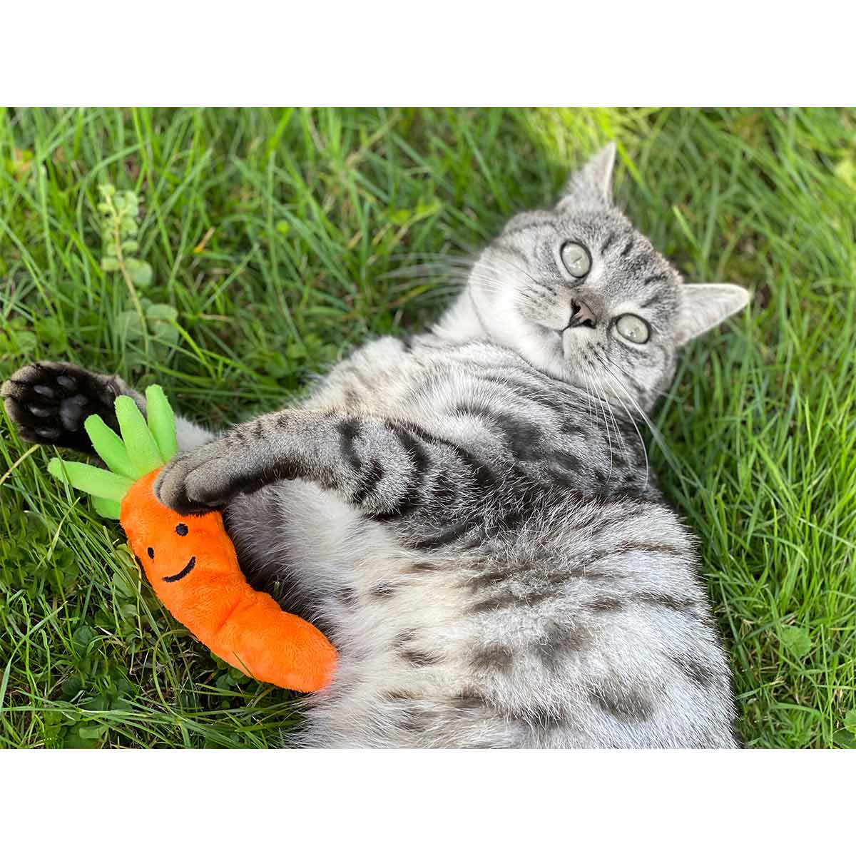 Aumüller Katzenspielkissen Karotte mit Baldrian