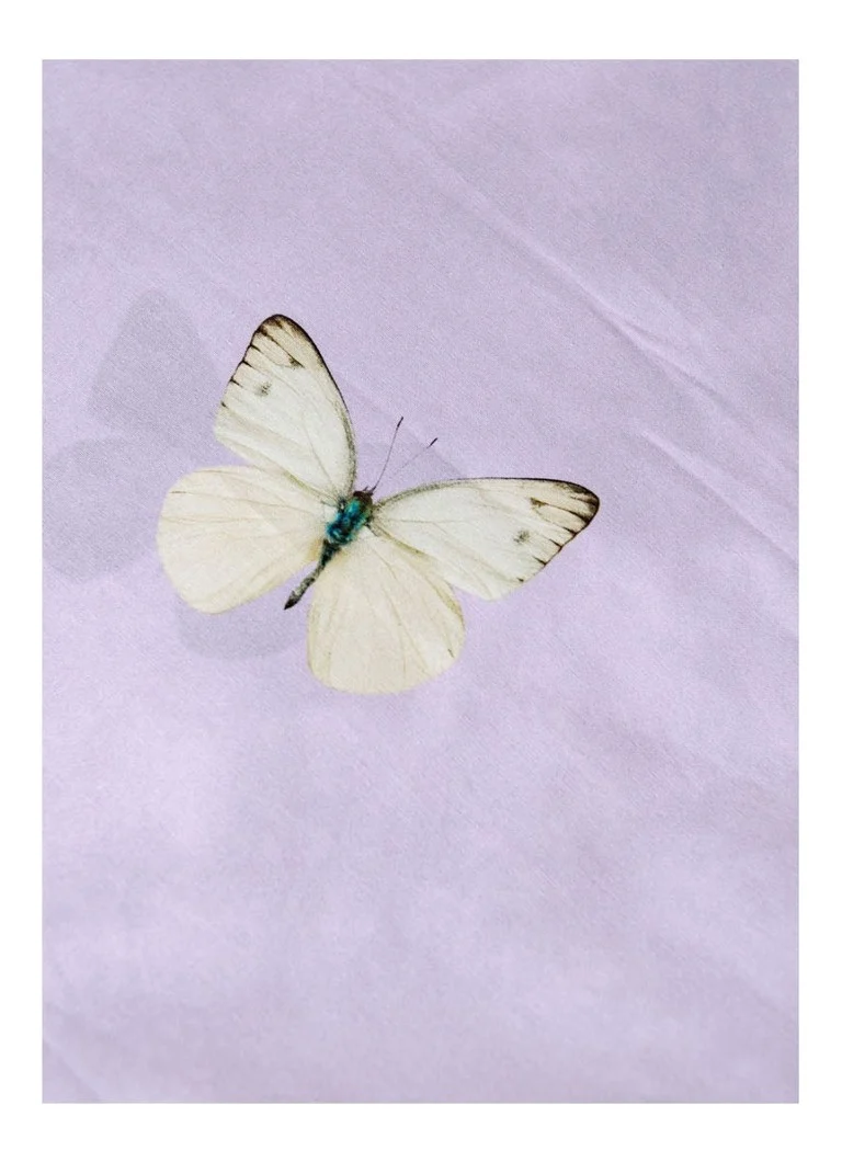 Snurk Butterfly gultasveļas komplekts no organiskās kokvilnas perkala 160TC - ieskaitot spilvendrānas