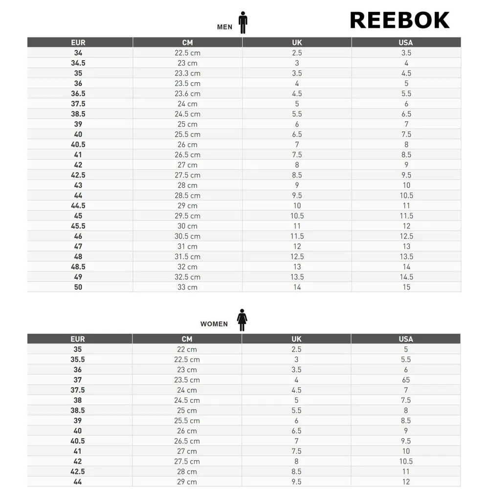 Reebok RBK PREMIER ROAD PLUS VI 100070276 / grau