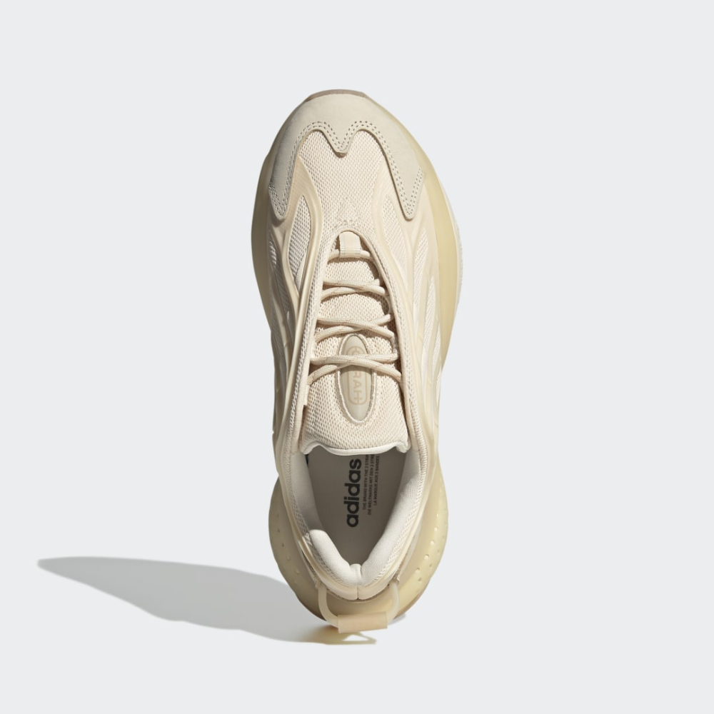 adidas Ozrah W GW6817 / braun