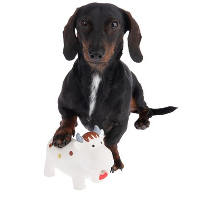 Hundespielzeug quietschende Latex-Kuh Isabella