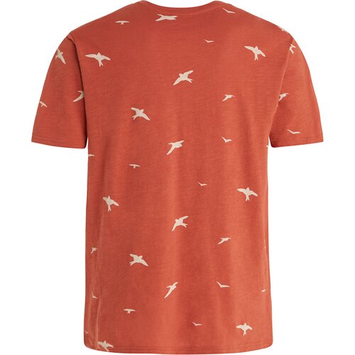 HERREN POLO PRTNILLO T-SHIRT