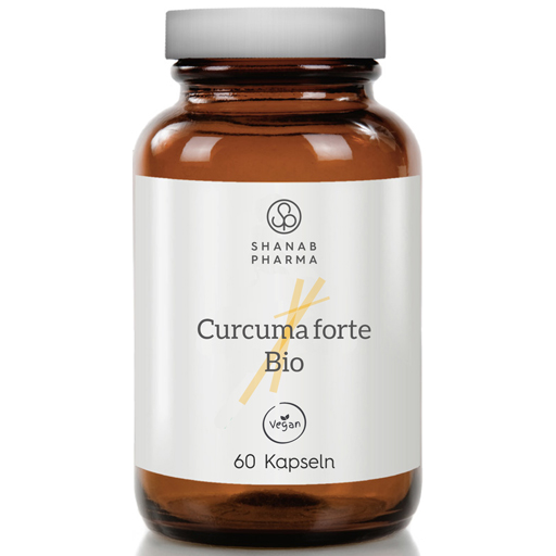 CURCUMA FORTE Bio Bioperine vegan Kapseln  60 St  Kapseln