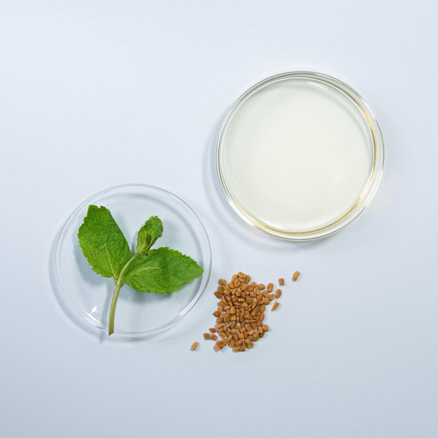 IN HAIRCARE Fortifying Hair Oil