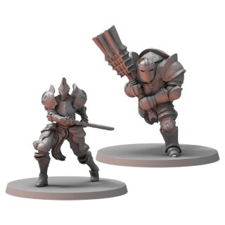 Dark Souls RPG: Captains & Warriors (EN)