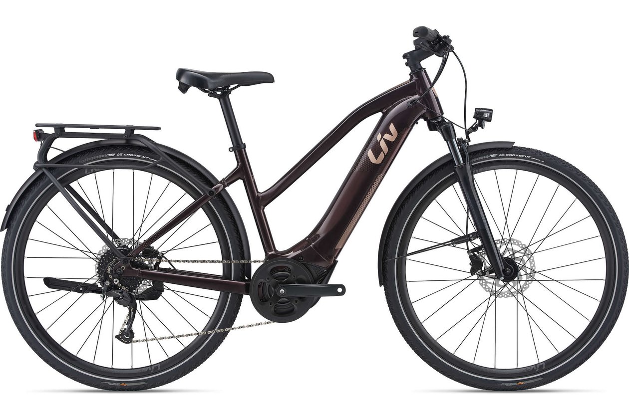 Liv Amiti-E+ 2 - RD Evo - 500 Wh - 2022 - 28 Zoll - Damen Sport