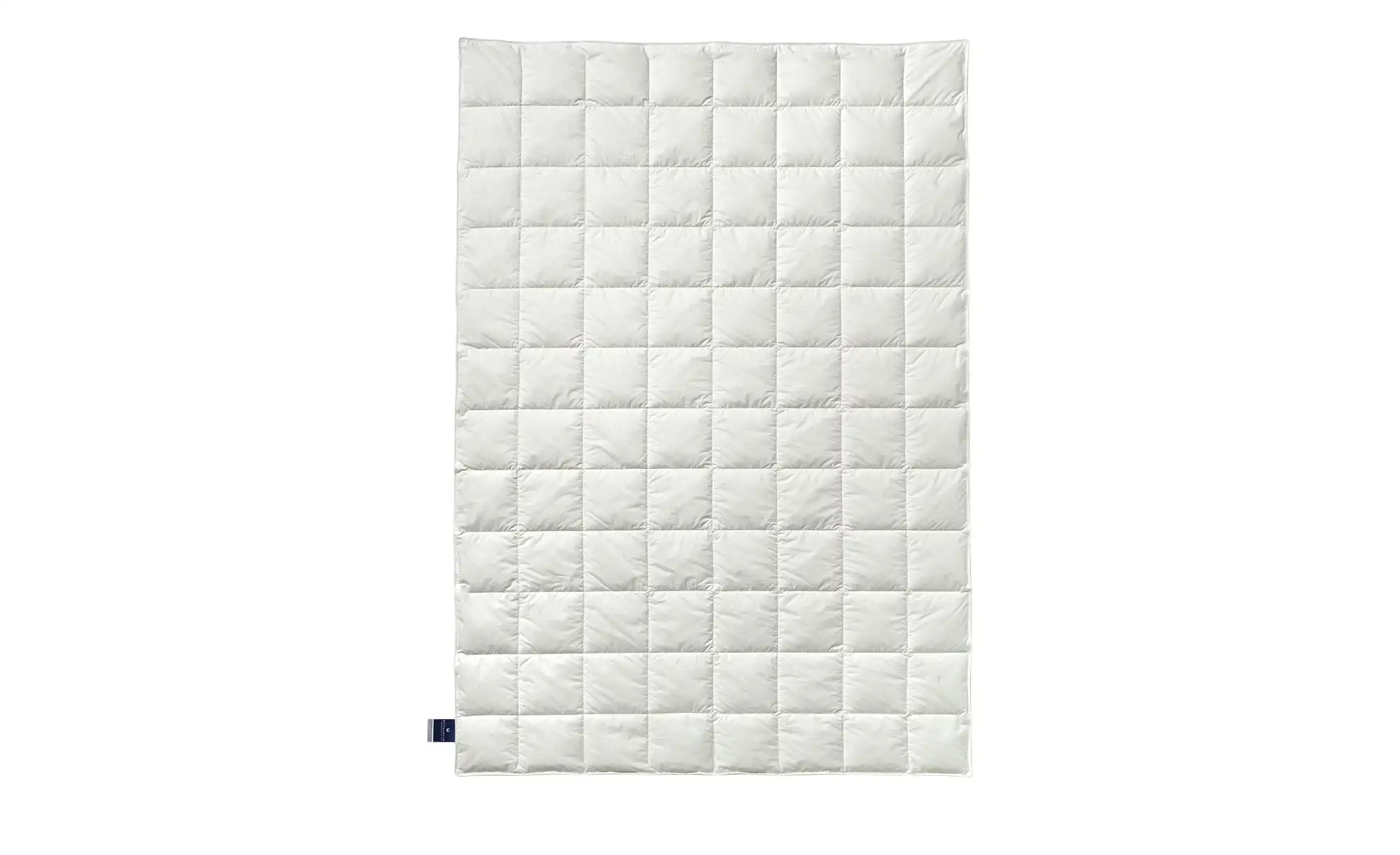 Billerbeck Kassettendecke Superlight Belja 2.0 Edition