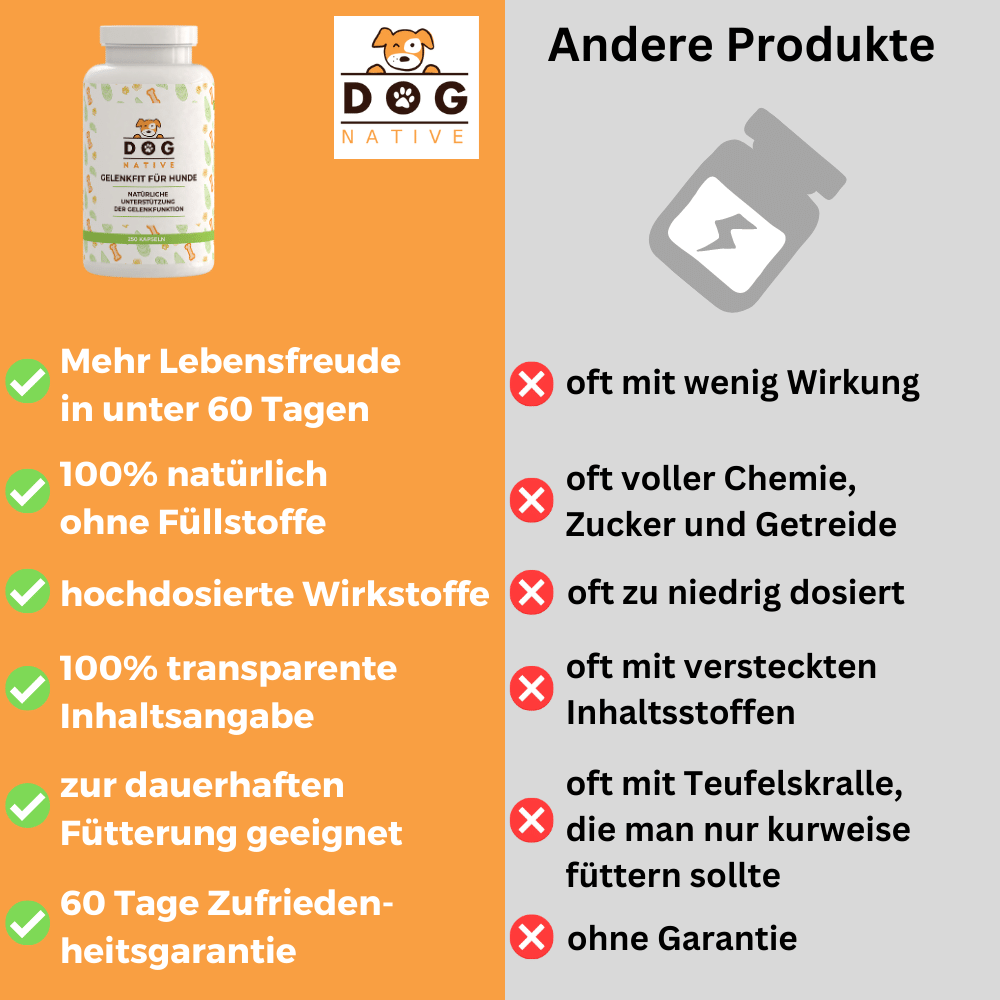 Dog-Native Ergänzungsfutter & Aufzucht Dog-Native Gelenkkapseln für Hunde, natürliche Gelenk-Kapseln mit Grünlippmuschel, MSM, Kollagen-Hydrolysat und Chondroitin, hochdosiert für Gelenke, 250 Kapseln