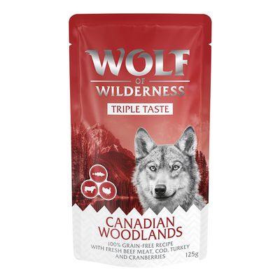 Wolf of Wilderness 