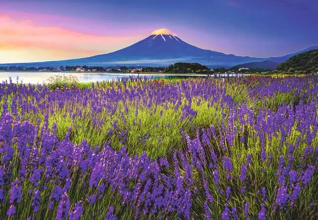 Puzzle 300 Teile - Fuji Mountain