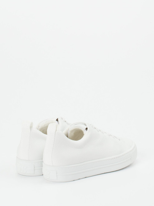 Sneaker-16637990287 Paul Green