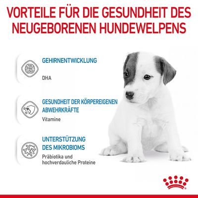 Royal Canin Babydog Milk